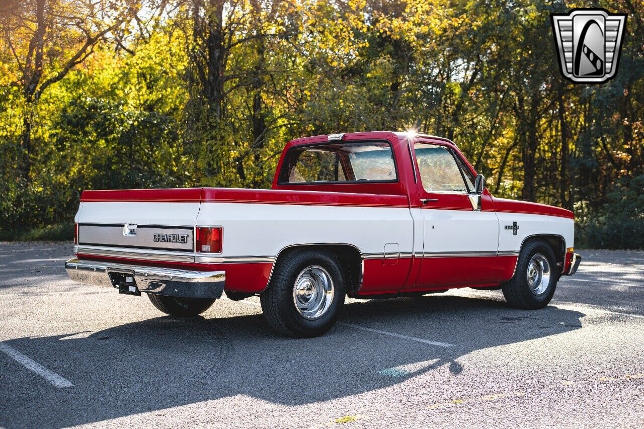 Chevrolet-C-10-Pickup-1986-6