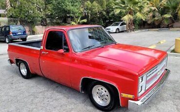 Chevrolet-C-10-Pickup-1987-1