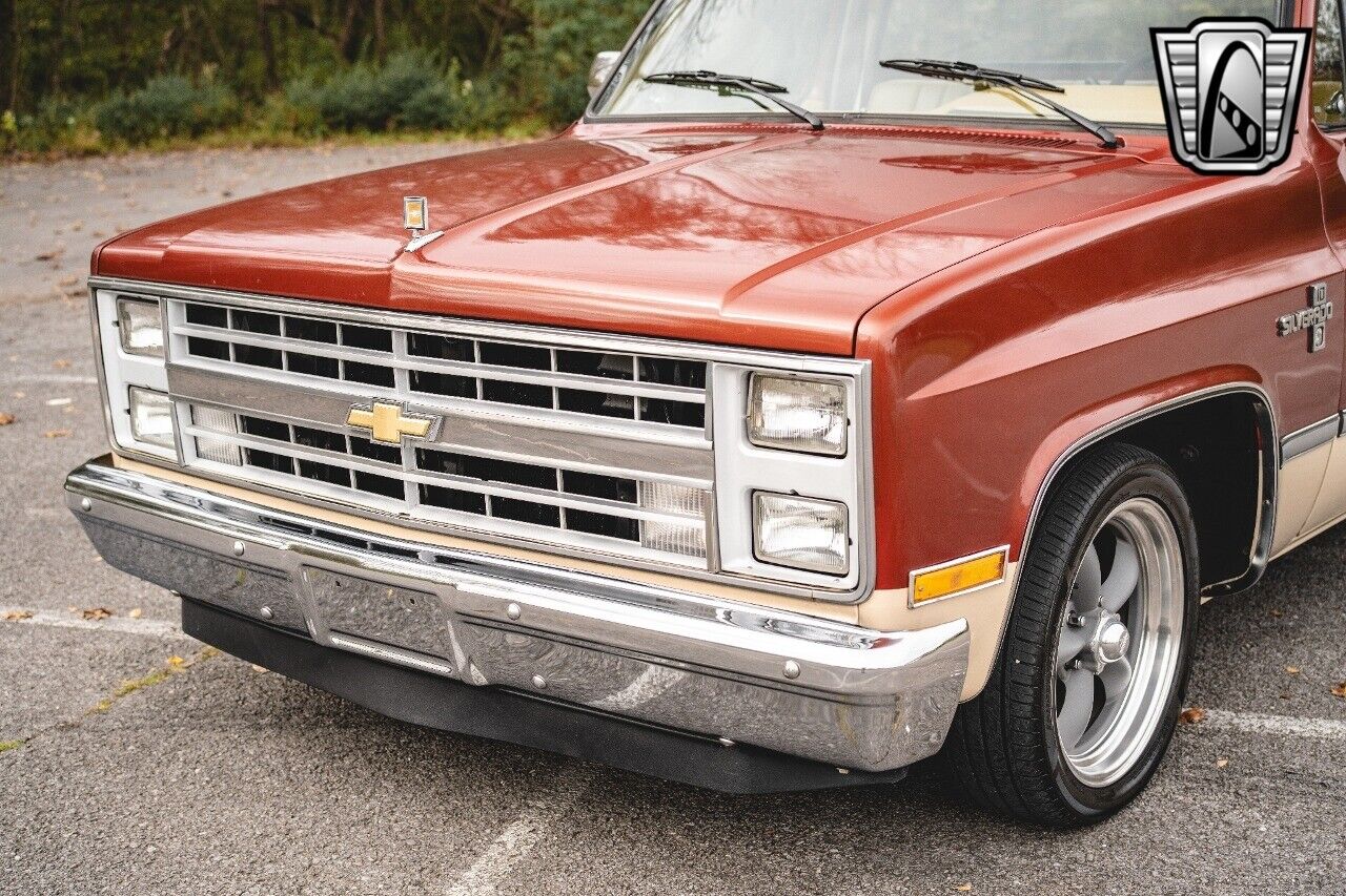 Chevrolet-C-10-Pickup-1987-10