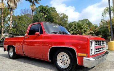 Chevrolet C-10 Pickup 1987