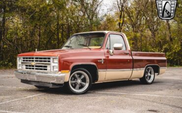 Chevrolet-C-10-Pickup-1987-2