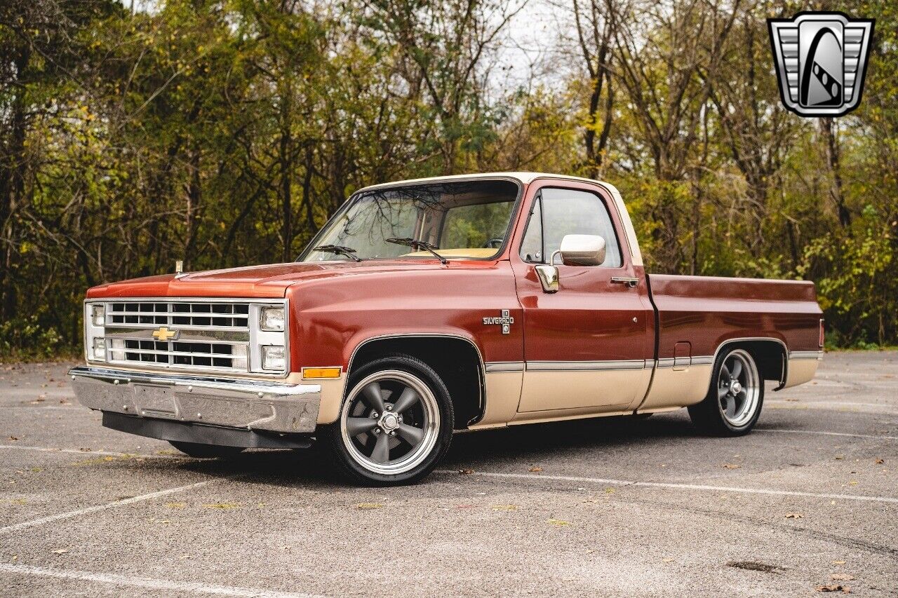 Chevrolet-C-10-Pickup-1987-2