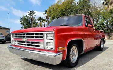 Chevrolet-C-10-Pickup-1987-3