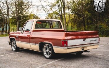 Chevrolet-C-10-Pickup-1987-4