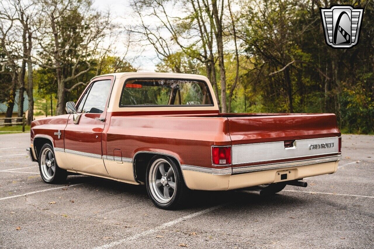 Chevrolet-C-10-Pickup-1987-4