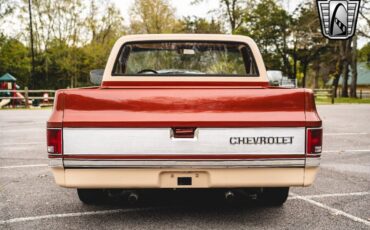 Chevrolet-C-10-Pickup-1987-5