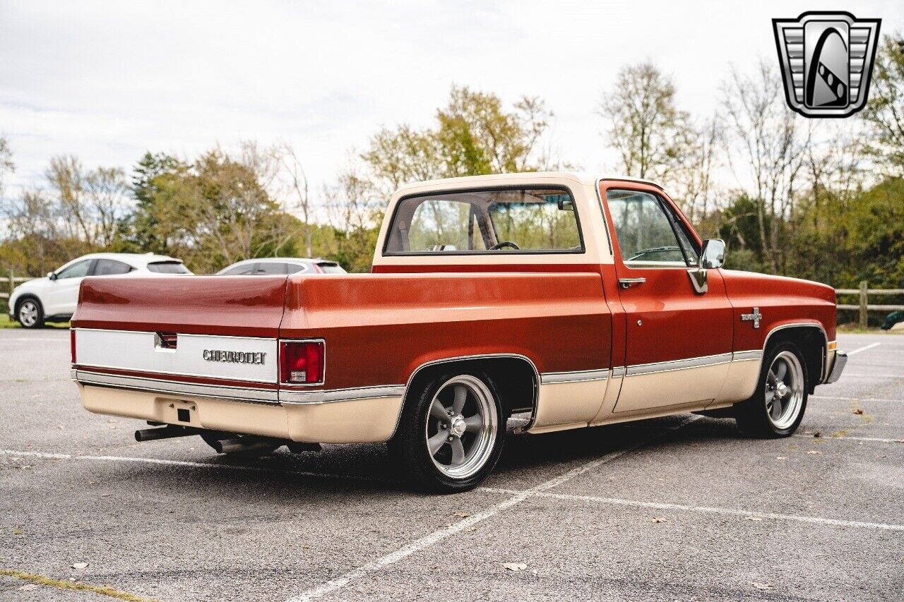 Chevrolet-C-10-Pickup-1987-6