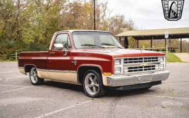 Chevrolet-C-10-Pickup-1987-8