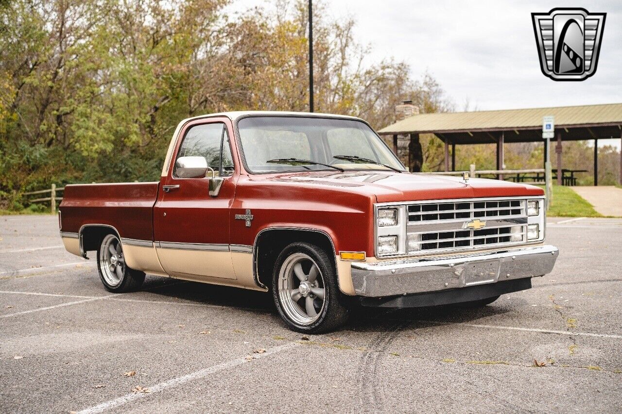 Chevrolet-C-10-Pickup-1987-8