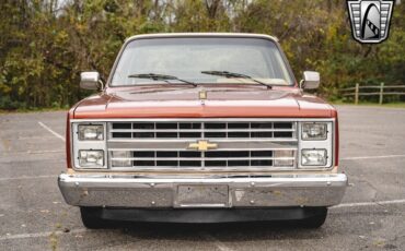 Chevrolet-C-10-Pickup-1987-9