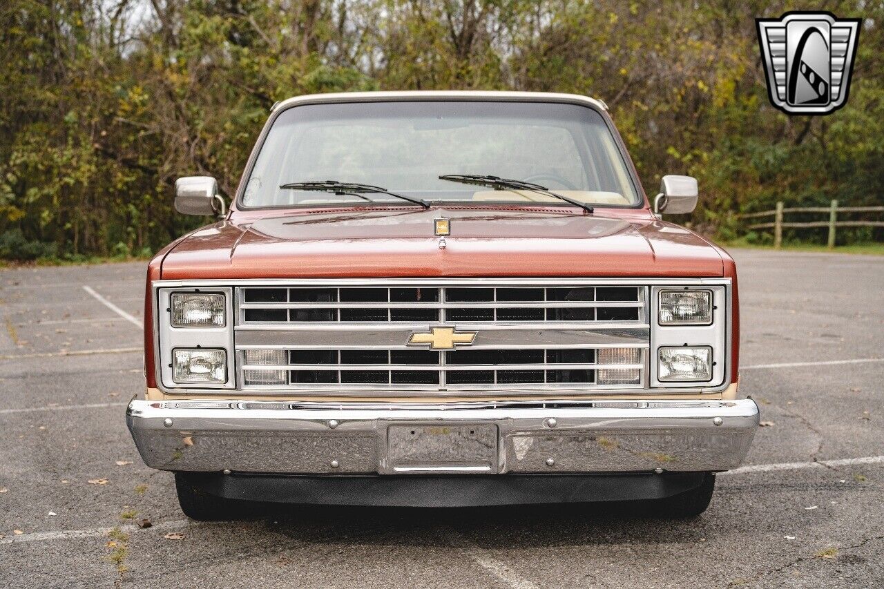 Chevrolet-C-10-Pickup-1987-9