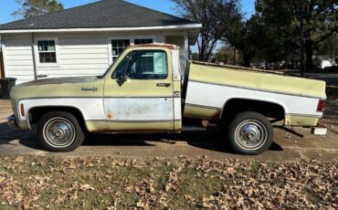 Chevrolet-C10-1973-21