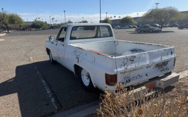 Chevrolet-C10-1978-2