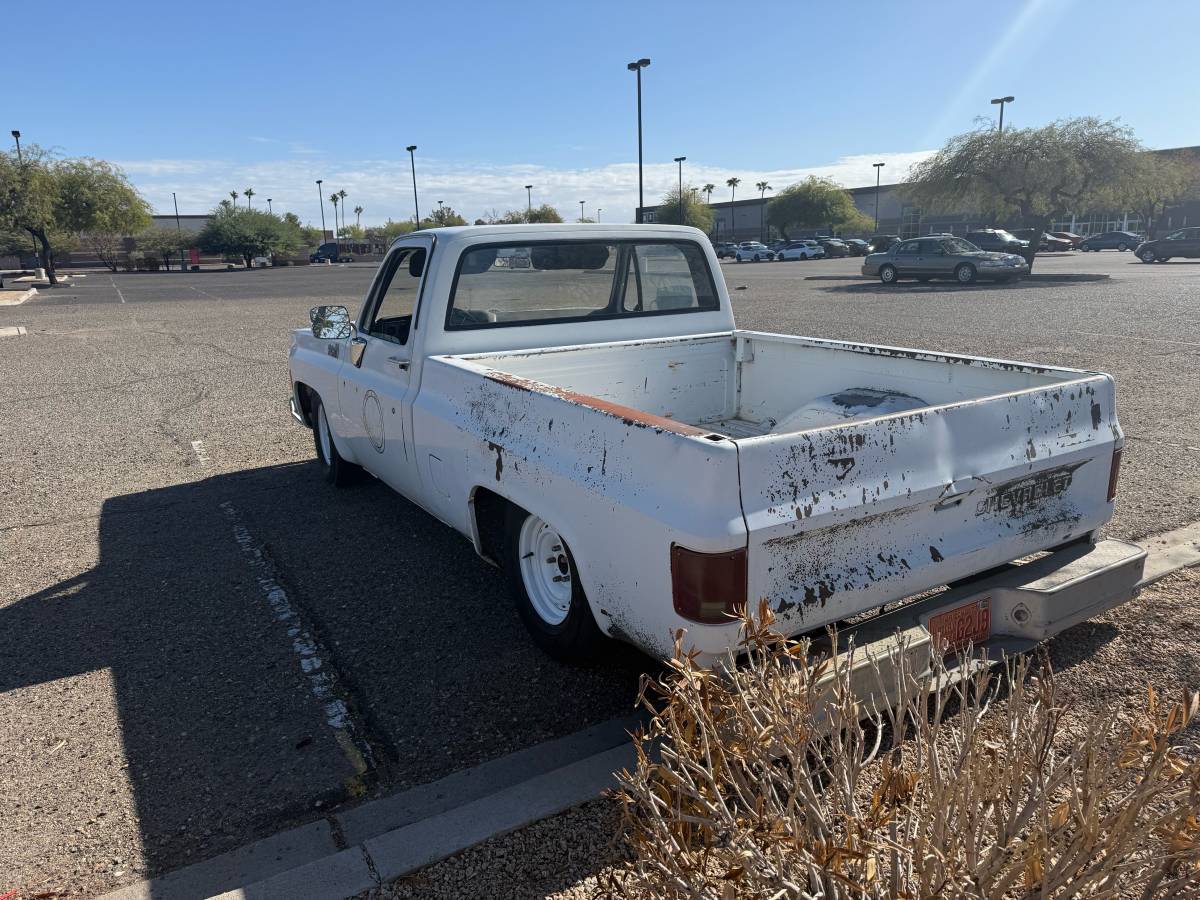 Chevrolet-C10-1978-2