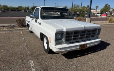 Chevrolet-C10-1978-6