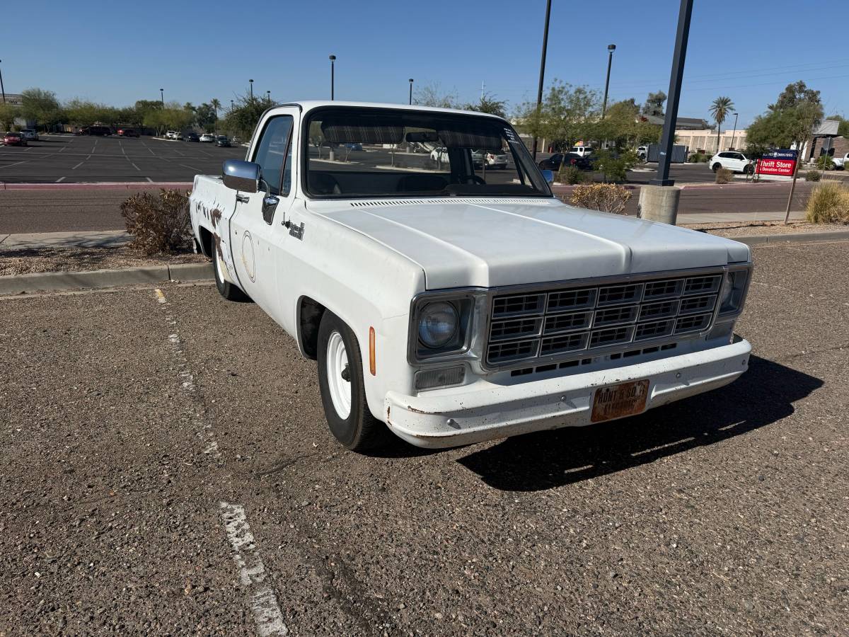 Chevrolet-C10-1978-6