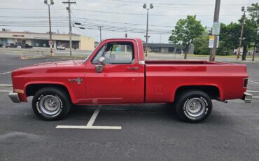 Chevrolet-C10-Scottsdale-1984-5