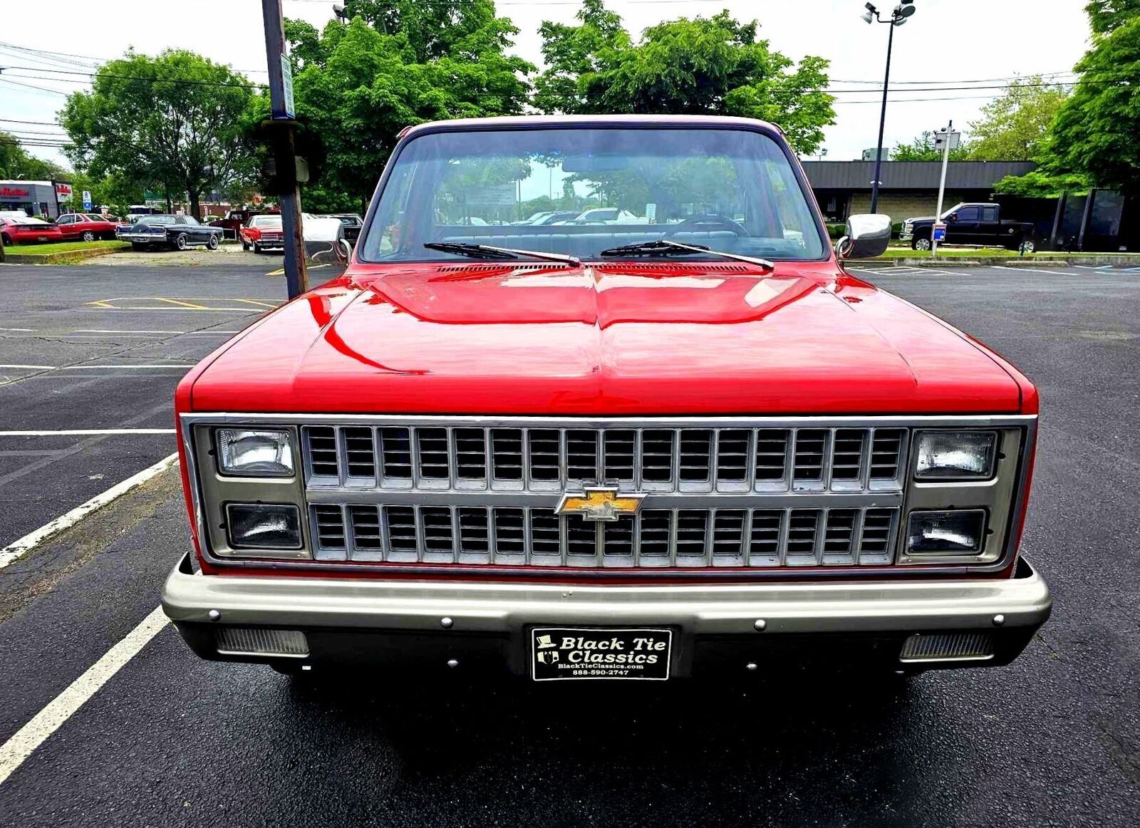 Chevrolet-C10-Scottsdale-1984-9