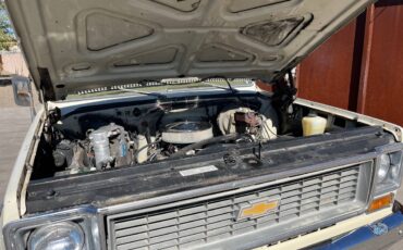 Chevrolet-C10-cheyenne-super-4wd-1974-2