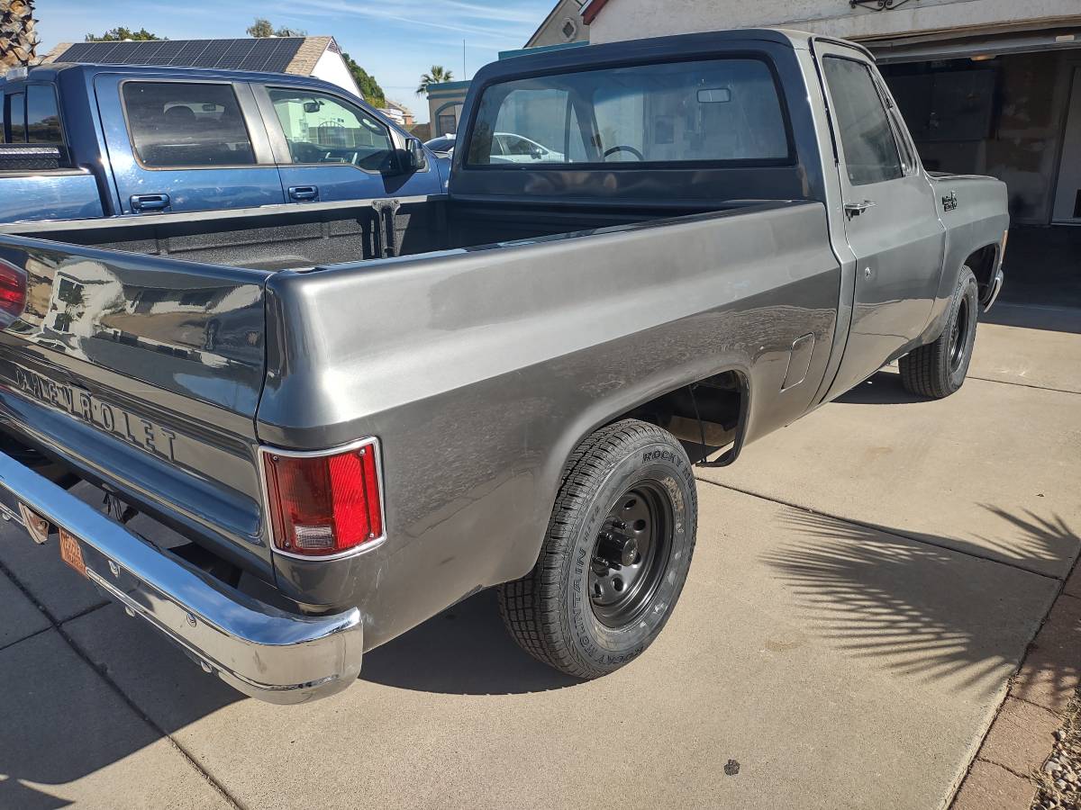 Chevrolet-C10-custom-deluxe-1979-4