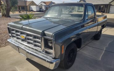 Chevrolet-C10-custom-deluxe-1979-6