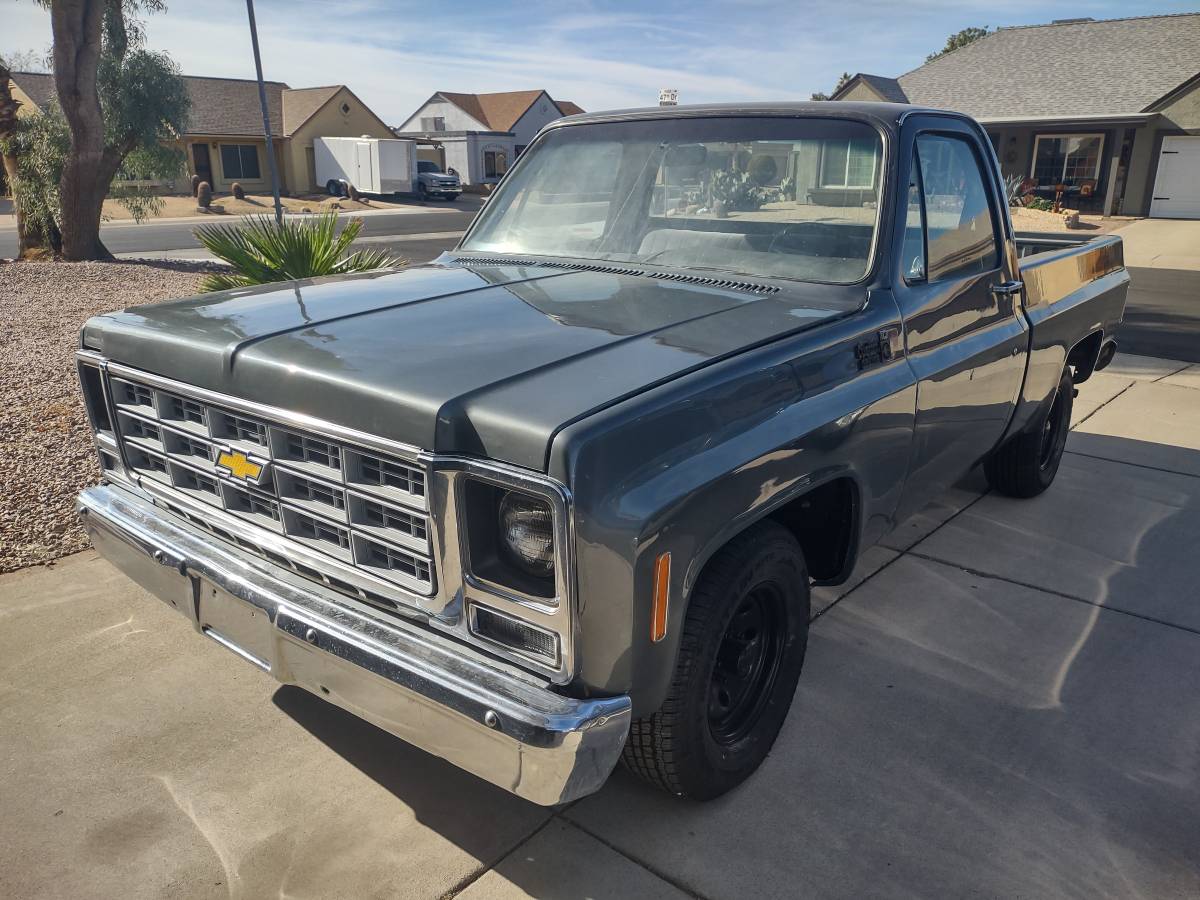 Chevrolet-C10-custom-deluxe-1979-6