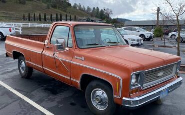 Chevrolet-C10-pickup-1974