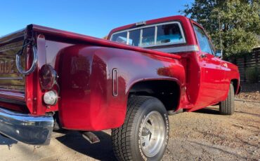 Chevrolet-C10-pickup-1976-1