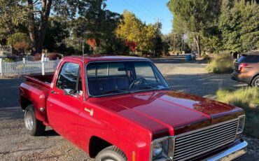 Chevrolet-C10-pickup-1976