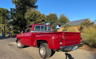 Chevrolet-C10-pickup-1976-4