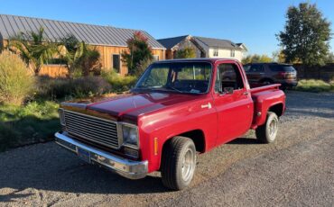 Chevrolet-C10-pickup-1976-5