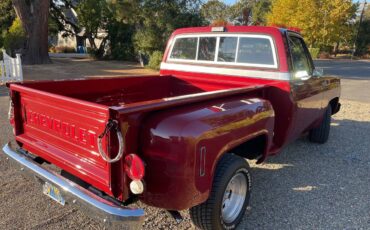 Chevrolet-C10-pickup-1976-6