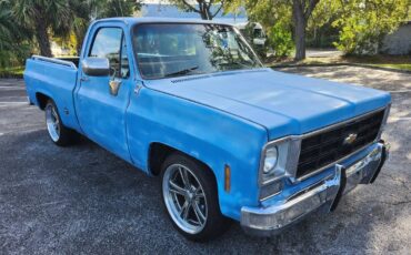 Chevrolet-C10-short-bed-pickup-1977-1