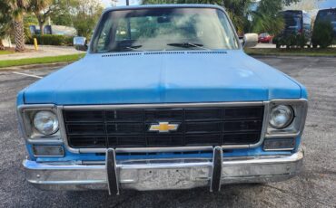 Chevrolet-C10-short-bed-pickup-1977-10