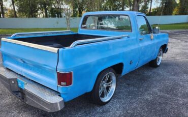 Chevrolet-C10-short-bed-pickup-1977-2