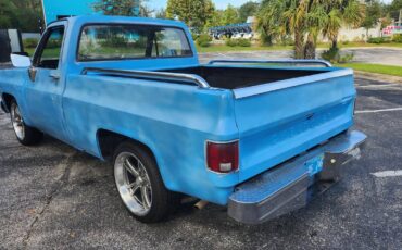 Chevrolet-C10-short-bed-pickup-1977-3