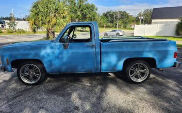 Chevrolet-C10-short-bed-pickup-1977-4