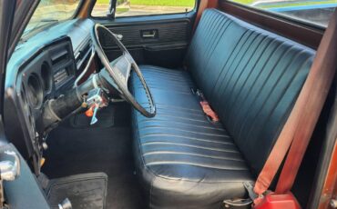 Chevrolet-C10-short-bed-pickup-1977-7