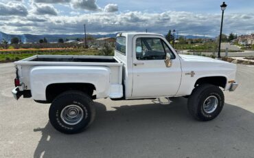 Chevrolet-C10-silverado-step-side-1987-12