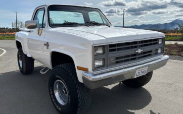 Chevrolet-C10-silverado-step-side-1987-15