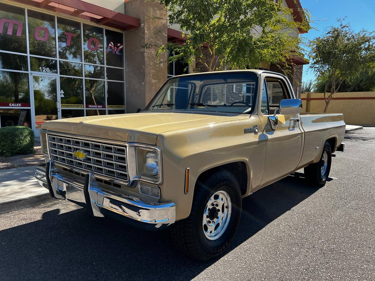 Chevrolet-C20-1976-2