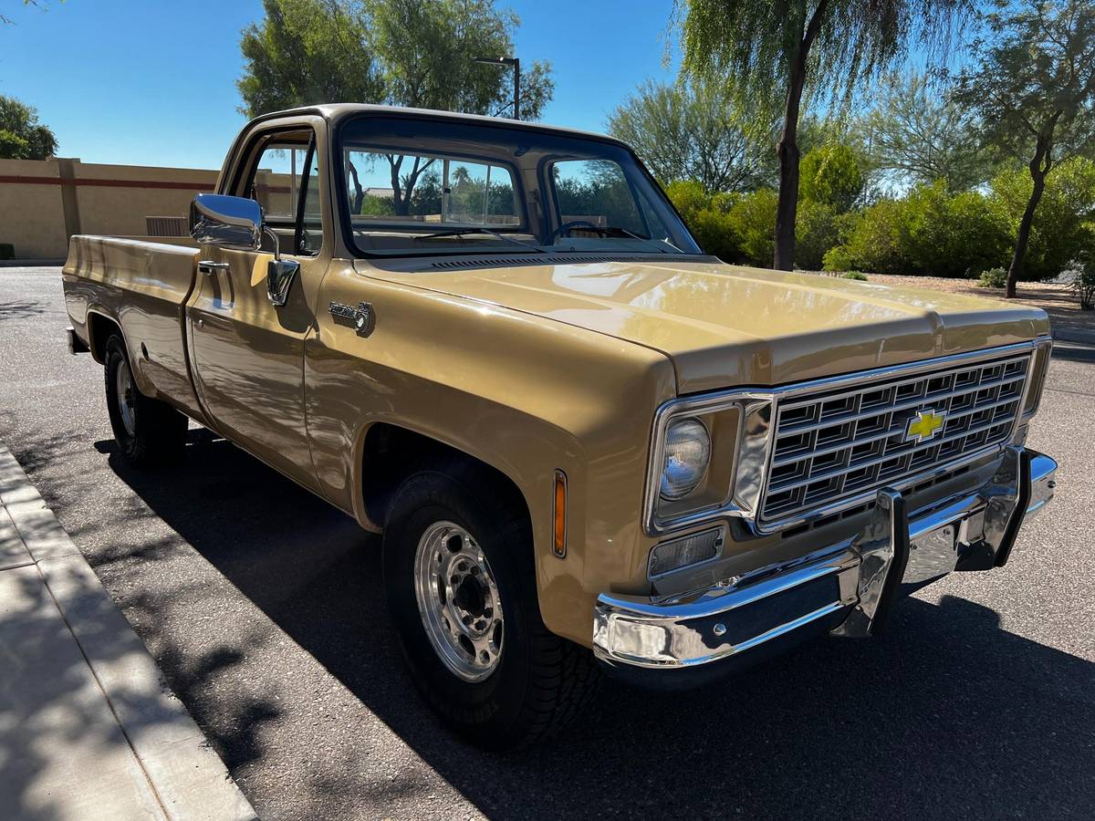 Chevrolet-C20-1976-4