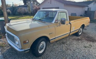 Chevrolet-C20-three-quarter-ton-pickup-1972-4