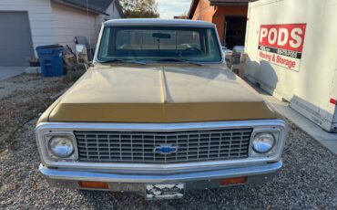 Chevrolet-C20-three-quarter-ton-pickup-1972-5