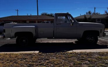 Chevrolet-C30-dually-1979-2