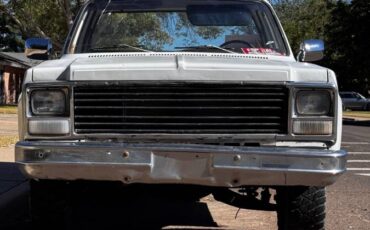 Chevrolet-C30-dually-1979