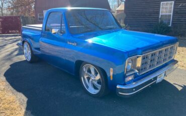 Chevrolet-CK-Pickup-1500-1981-2