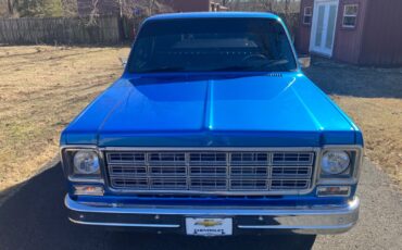 Chevrolet-CK-Pickup-1500-1981-3