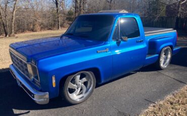 Chevrolet C/K Pickup 1500  1981