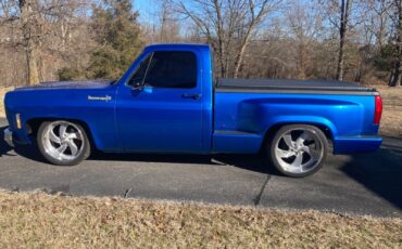 Chevrolet-CK-Pickup-1500-1981-4